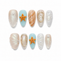 Seaside Treasure